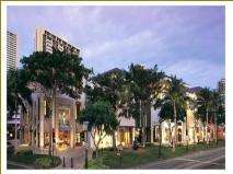 Luxury Shopping