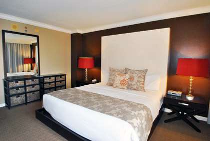 Comfortable King Bed                              