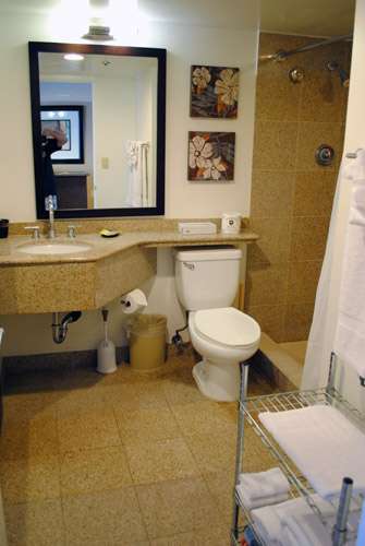 Granite Bathroom                                  