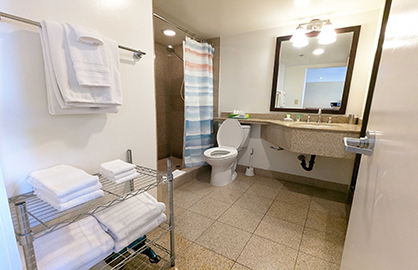 Granite Walk-In Shower