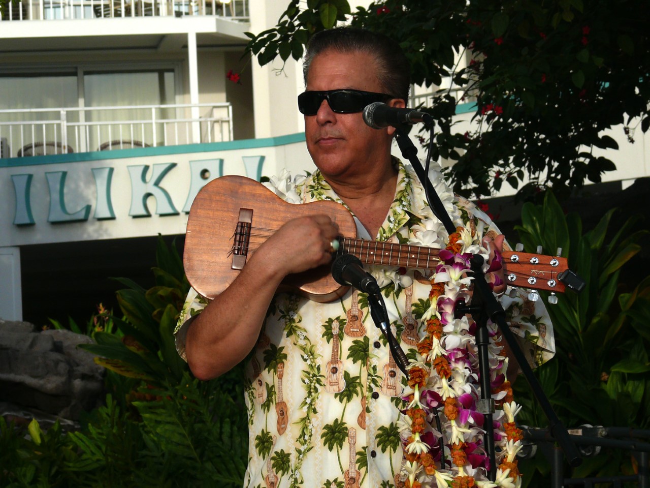 Hula Show Every Friday Night