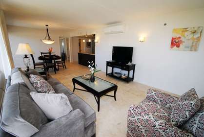 Large Spacious Living Room