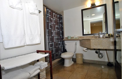 Granite Bathroom                                  