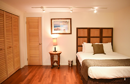 Beautiful Second Bedroom