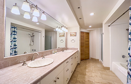 Master Bathroom w/ Laundry Room and Tub