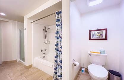 Shower Room and Toilet Area in Master Bathroom