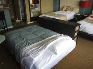 Full size Sofa Bed                                
