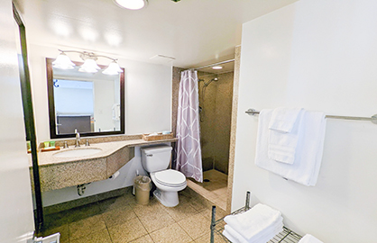 Granite Bathroom