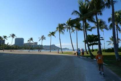 Walk or Kog along the Beach