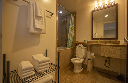 Modern Granite Bathroom                           