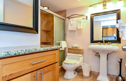 Remodeled Granite Bathroom