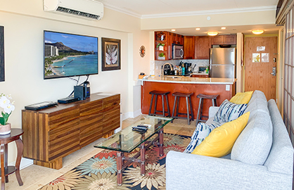 Modern Living Area                                
