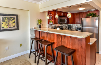 Beautiful New Kitchen / Breakfast Bar             