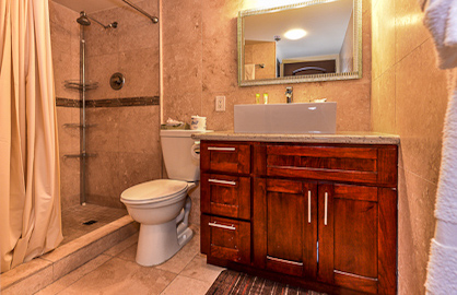 Remodeled Elegant Bathroom                        