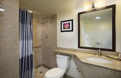 Large Granite Bathroom                            