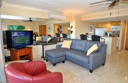 Spacious Living Area                              