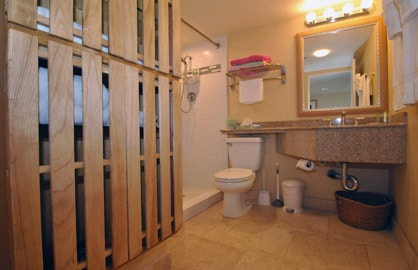 Walk in Shower