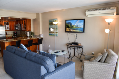 Futon Couch, Flat Screen TV, Split AC             