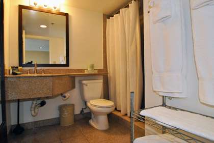 Granite Walk-In Shower                            