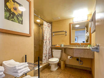 Granite Walk-in Shower