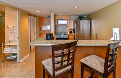 Granite Kitchen / Breakfast Bar                   