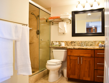 Beautiful Travertine Bathroom                     