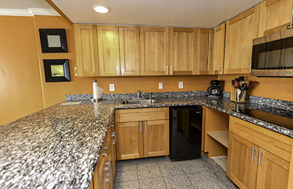Modern Granite Kitchen                            
