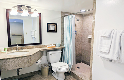 Granite Walk-In Shower