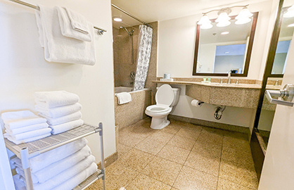 Japanese Soaking Tub/Shower