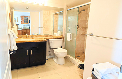 Modern Travertine Bathroom