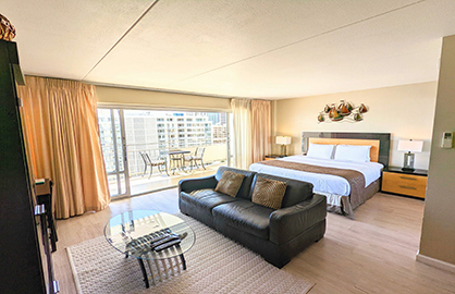 Spacious Living and Bedroom Area