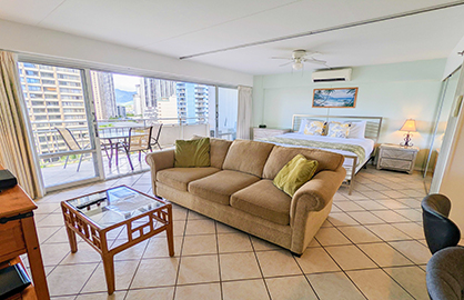 Spacious Living and Bedroom Area                  