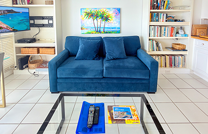 Comfortable Sofa Bed in Bright Living Area