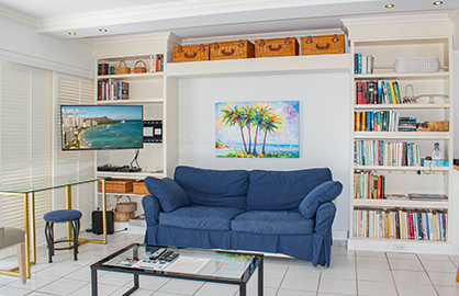 Living Room Area w/ Sofa Bed