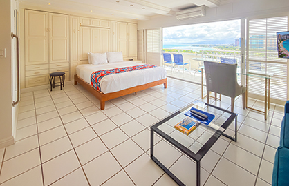 Comfortable Living and Bed Area w/ Split AC       