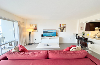 Spacious Modern Living Room                       
