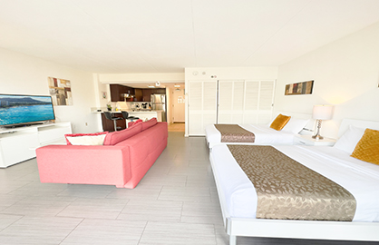 Living and Bedroom Area