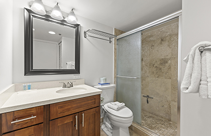 Modern Spacious Bathroom