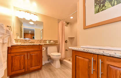 New Remodeled Modern Bathroom