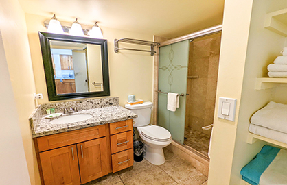 New Walk in Shower