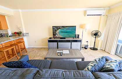 Comfy Sofa Bed and Large TV                       
