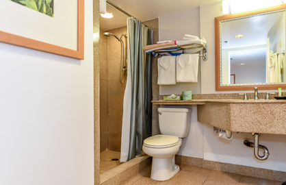 Granite Walk In Shower