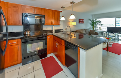 Modern Kitchen with Dishwasher                    