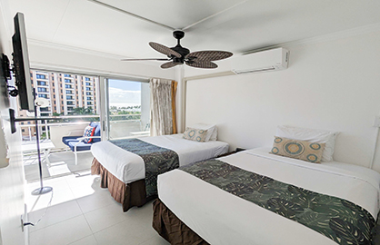 Double Beds and TV in Guest Bedroom