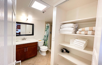 Extra Cabinet in Bathroom