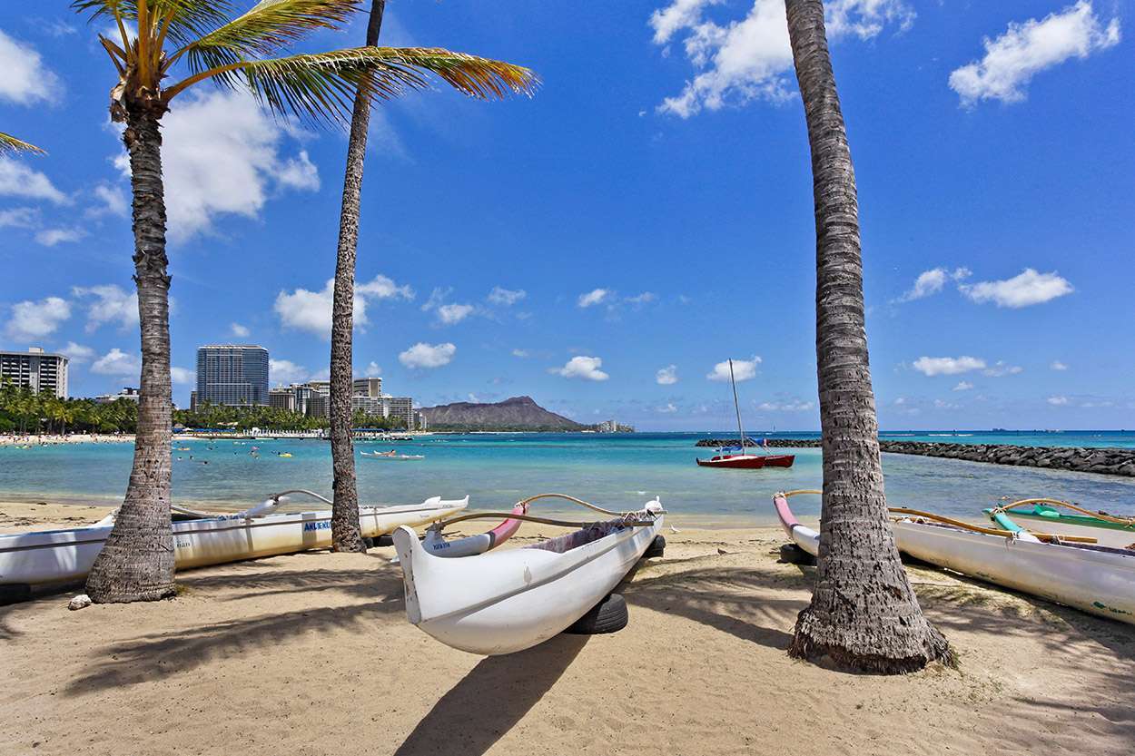 Waikiki Beach                                     