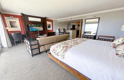 Large Sleeping Area                               