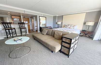 Spacious 500sf Living Area                        