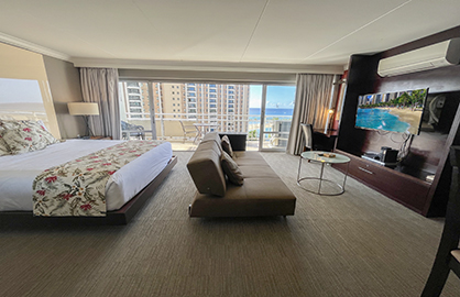 Spacious Living and Bedroom Area
