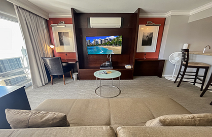 Living Area w/ TV, AC and Sofa Bed